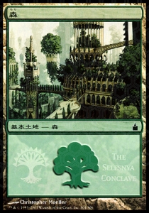 Forest (V.3)
