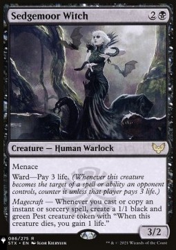 Sedgemoor Witch
