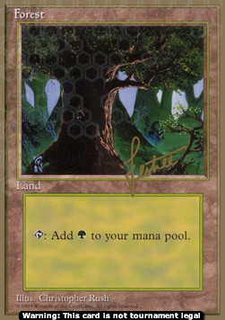 Forest (V.3)