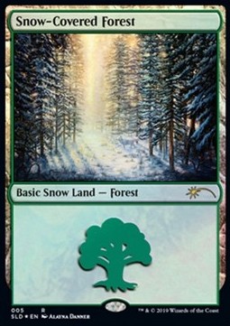 Snow-Covered Forest