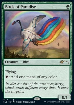 Birds of Paradise (V.1)
