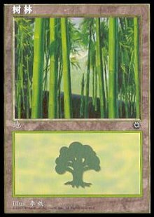 Forest (V.2)