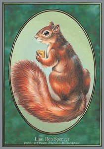 Squirrel Token (Green 1/1)