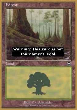 Forest (V.1)