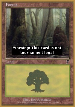 Forest (V.4)
