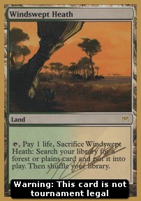 Windswept Heath