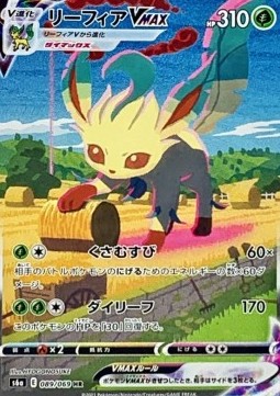 Leafeon VMAX  (s6a 089)