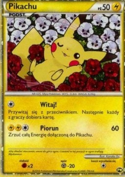 Pikachu  (PWC)
