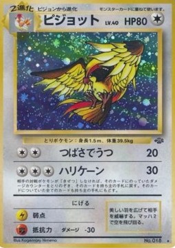 Pidgeot  (PJU)