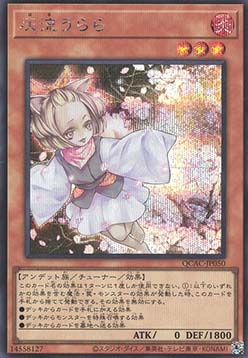 Ash Blossom & Joyous Spring (V.2 - Secret Rare)
