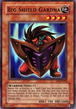 Big Shield Gardna